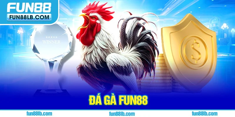Khám phá đá gà FUN88 có gì thu hút