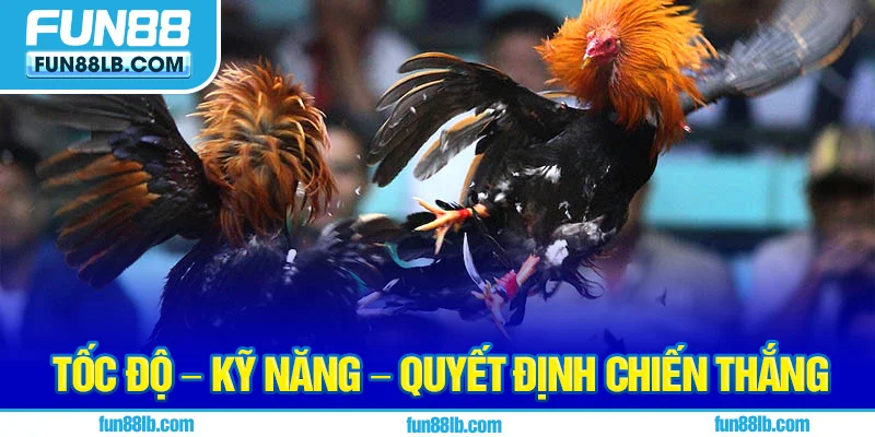 Tốc độ – Kỹ năng – Quyết định chiến thắng