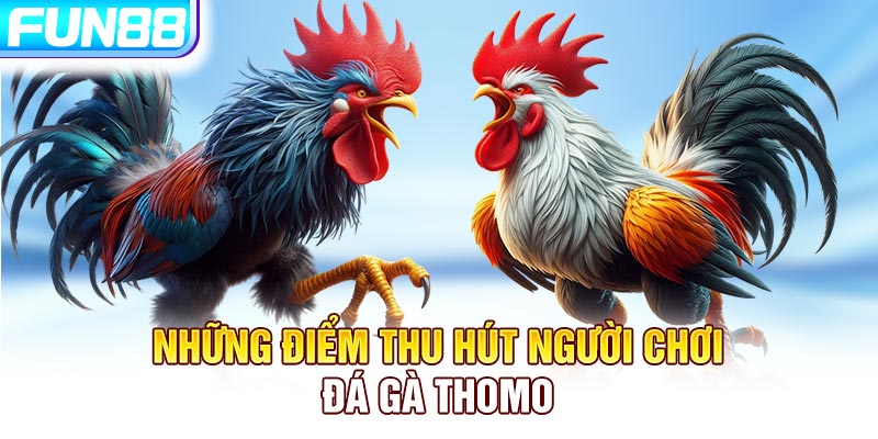 Những tính năng trong đá gà Thomo Những tính năng trong đá gà Thomo